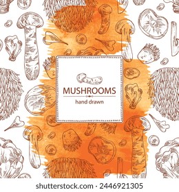 Watercolor background with mushroom:  thelephora ganbajun, tricholoma matsutake, hericium erinaceus and auricularia polytricha. Vector hand drawn illustration