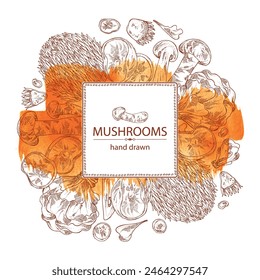 Watercolor background with mushroom:  thelephora ganbajun, tricholoma matsutake, hericium erinaceus and auricularia polytricha. Vector hand drawn illustration