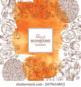 Watercolor background with mushroom:  thelephora ganbajun, tricholoma matsutake, hericium erinaceus and auricularia polytricha. Vector hand drawn illustration