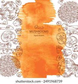 Watercolor background with mushroom:  thelephora ganbajun, tricholoma matsutake, hericium erinaceus and auricularia polytricha. Vector hand drawn illustration