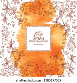 Watercolor background with myrrh: plant and resin of myrrh. Commiphora myrrha. Perfumery, cosmetics and medical plant. Vector hand drawn illustration