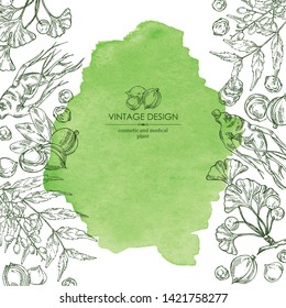Watercolor background with neem leaves, macadamia nuts, ginseng root and ginkgo. Cosmetics and medical plant. Vector hand drawn illustration