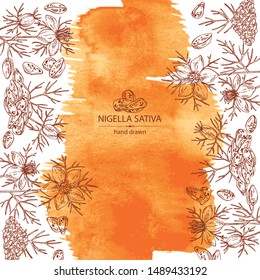 Watercolor background with nigella sativa: seeds and flower of nigella sativa. Vector hand drawn illustration