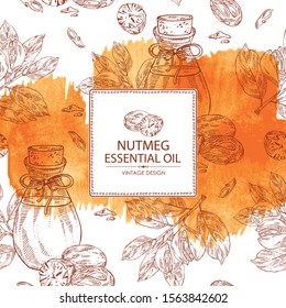 Watercolor background with nutmeg and bottle of nutmeg essential oil. Cosmetic, perfumery and medical plant. Vector hand drawn illustration.