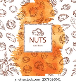 Watercolor background with nuts: almond, brazilian nut, pecan and macadamia. Vector hand drawn illustration.