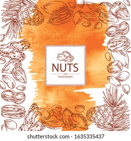 Watercolor background with nuts: almonds, pecan, peanuts and pine nuts. Vector hand drawn illustration.