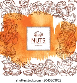 Watercolor background with nuts: walnut, hazelnut, peanuts and pistachio nuts. Vector hand drawn illustration.