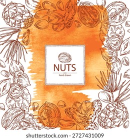 Aquarellhintergrund mit Nüssen: Walnuss, Haselnuss, Erdnüsse und Pinienkerne. Handgezeichnete Vektorgrafik.
