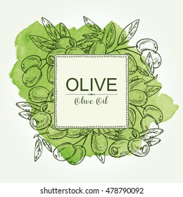 Watercolor background with olive and olive branch. hand drawn