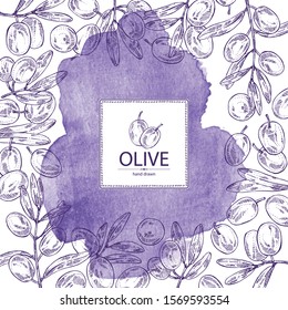 Watercolor background with olive: olives and olive branch. Vector hand drawn illustration.
