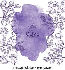 Watercolor background with olive: olives and olive branch. Vector hand drawn illustration.