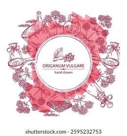 Watercolor background with origanum vulgare: origanum vulgare leaves, flowers and plant. Oregano. Oil, soap and bath salt . Cosmetics and medical plant. Vector hand drawn illustration