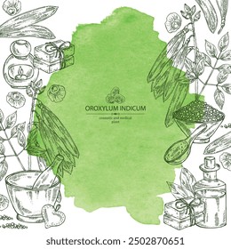 Watercolor background with  oroxylum indicum: oroxylum indicum plant, leaves, pod and oroxylum indicum seeds. Oil, soap and bath salt . Cosmetics and medical plant. Vector hand drawn illustration