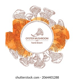 Watercolor Background With Oyster Mushroom: Mushroom Pleurotus. Mushroom. Vector Hand Drawn Illustration