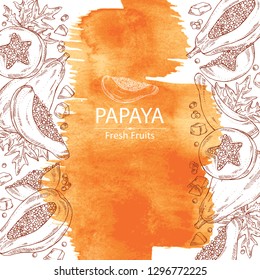 Watercolor background with papaya and papaya slice. Vector hand drawn illustration