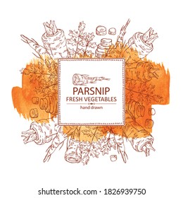 Watercolor background with parsnip. Vector hand drawn illustration.
