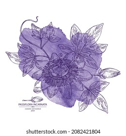 Watercolor background with passiflora incarnata: passiflora flowers, leaves and plant. Cosmetic, perfumery and medical plant. Vector hand drawn illustration.