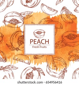 Watercolor background with peach and slice background. Vector hand drawn illustration