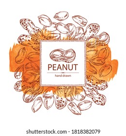 Watercolor background with peanut: nuts and leaves. Vector hand drawn illustration