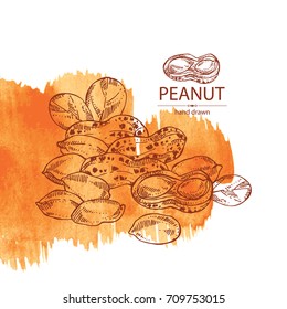 Watercolor background with peanut: nuts and leaves. Vector hand drawn illustration.
