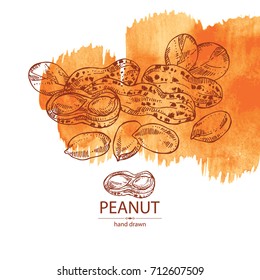 Watercolor background with peanut: nuts and leaves. Vector hand drawn illustration.