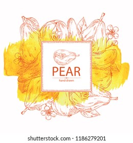 Watercolor background with pear: fruit, leaves, flower and pear slice. Vector hand drawn illustration.