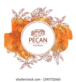 Watercolor background with pecan: pecan nuts and leaves. Vector hand drawn illustration