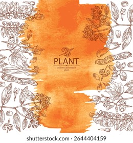 Fundo aquarela com perfumaria e plantas médicas: alangium chinense, mucuna pruriens, phyllanthus niruri, wikstroemia indica. Ilustração desenhada à mão vetorial.