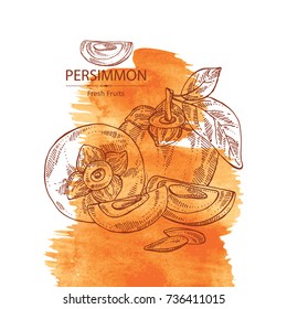 Watercolor background with persimmon fruit and persimmon slice. Vector hand drawn illustration.