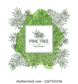 Watercolor background with pine tree: branch of pine tree with cone. Vector hand drawn illustration