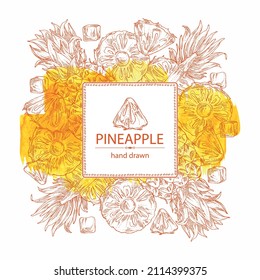 Watercolor background with pineapple: pineapple fruit, leaves and pineapple slice. Ananas comosus. Hand drawn vector illustration