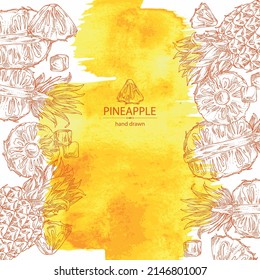 Watercolor background with pineapple: pineapple fruit, leaves and pineapple slice. Ananas comosus. Hand drawn vector illustration