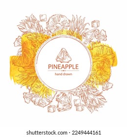 Watercolor background with pineapple: pineapple fruit, leaves and pineapple slice. Ananas comosus. Hand drawn vector illustration