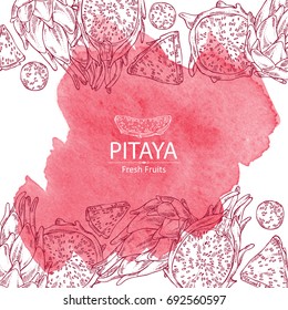 Watercolor background with pitaya fruit: fruit and pitaya slice. Dragon fruit. Vector set hand drawn illustration