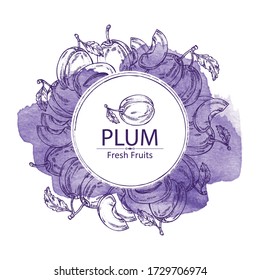 Watercolor background with plum and plum slice. Vector hand drawn illustration