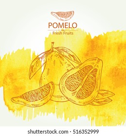 Watercolor background with pomelo and pomelo slice. hand drawn .
