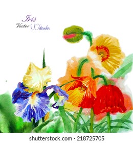 Watercolor background with poppy and flowers. Vector illustration