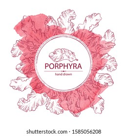 Watercolor background with porphyra: porphyra seaweed. Red algae. Edible seaweed. Vector hand drawn illustration