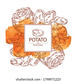 Watercolor background with potatoes and bag with potatoes. Vector hand drawn illustration.