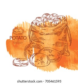 Watercolor background with potatoes and bag with potatoes.  Vector hand drawn illustration.