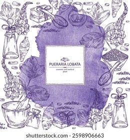 Watercolor background with pueraria lobata: pueraria lobata plant, leaves, flowers and pueraria lobata root. Oil, soap and bath salt . Cosmetics and medical plant. Vector hand drawn