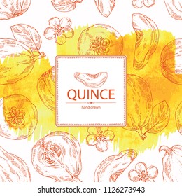 Watercolor background with quince: fruit, flower, leaves and quince slice. Vector hand drawn illustration.