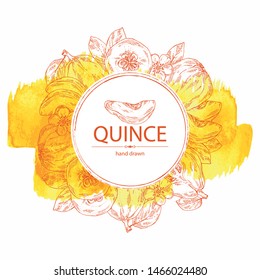 Watercolor background with quince: fruit, flower, leaves and quince slice. Vector hand drawn illustration.