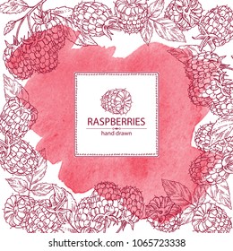Watercolor background with raspberry and branch of raspberry. Vector hand drawn illustration