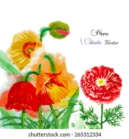 Watercolor background with red poppy. Vector illustration