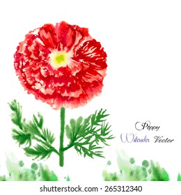 Watercolor background with red poppy. Vector illustration