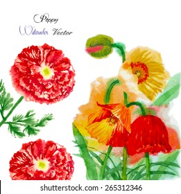 Watercolor background with red poppy. Vector illustration