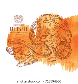 Watercolor background with reishi: mushroom reishi, powde and a bit of reishi. Super food. Vector hand drawn illustration.