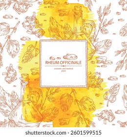 Watercolor background with rheum officinale, chinese rhubarb and bottle of rheum oil. Vector hand drawn illustration.