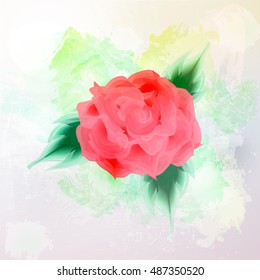 watercolor background with rose